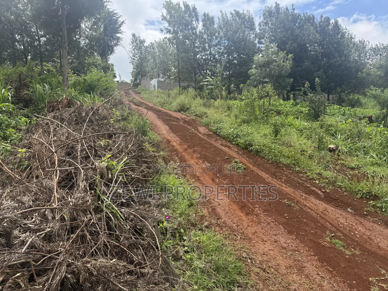 Quater Acre Ngere Road Kibiku