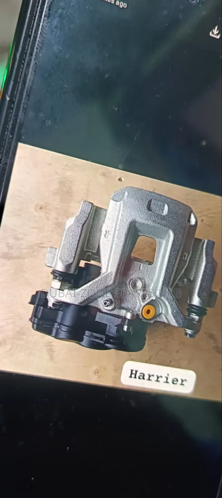 Rear Electric Calipers Harrier.