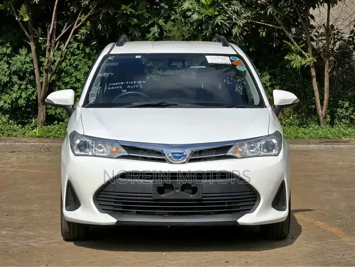 Toyota Corolla Fielder 2019 Pearl