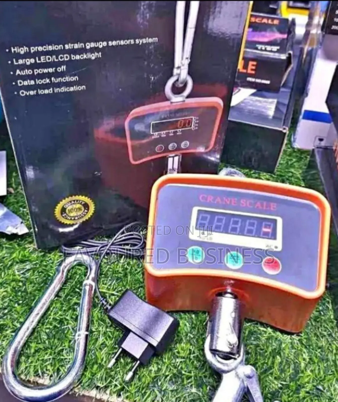 Long Time Warrant 500kg Mini Crane Scale /Best Quality Weighing Scale