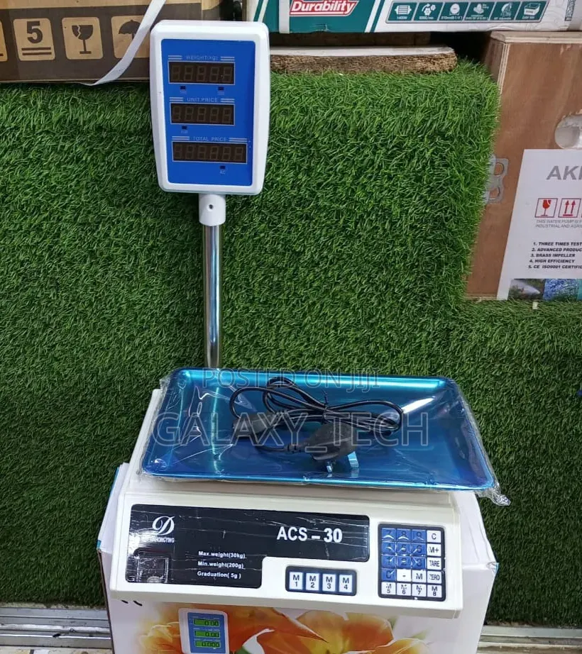 Acs 30kg Digital Scale With Arm/Handle