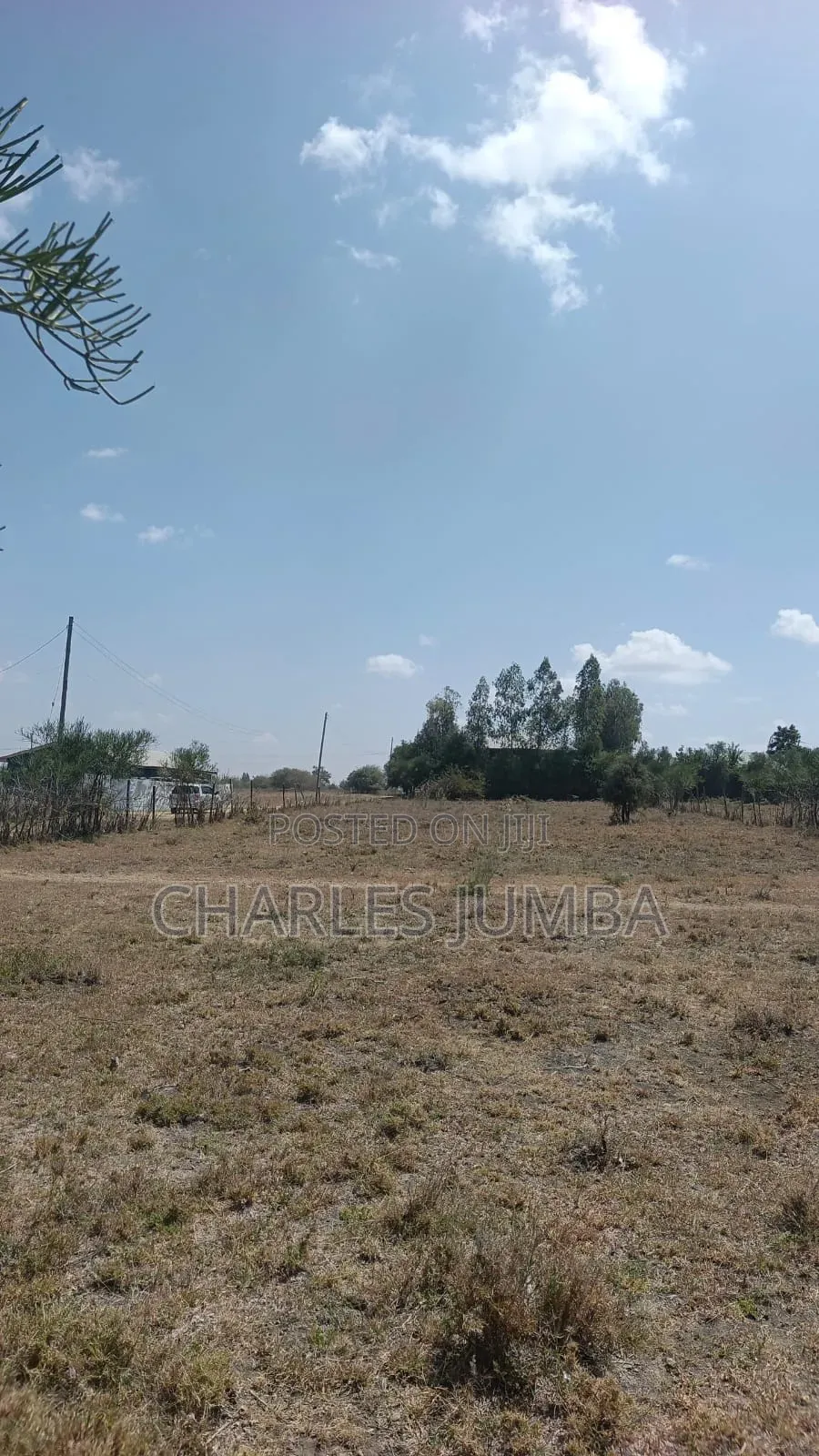 1/4 Plot Along Governor's Road