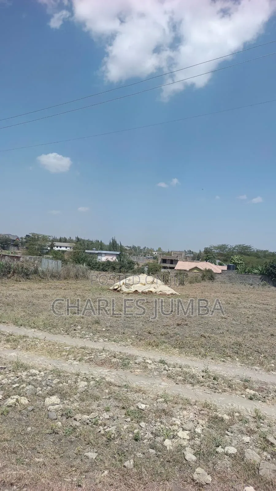1/4 Plot Along Governor's Road