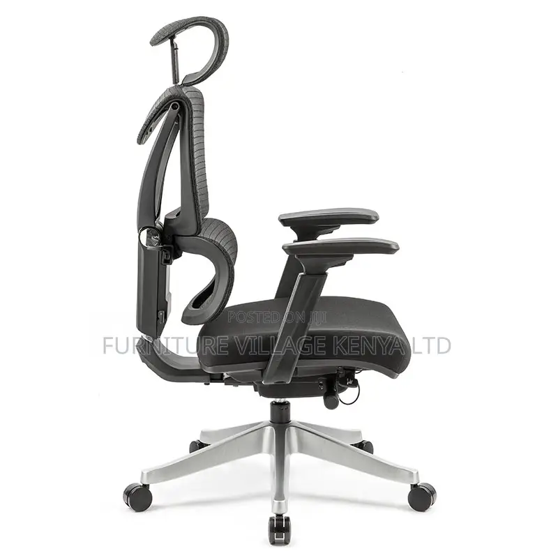 Orthopedic Imported Mesh Reclining Chair