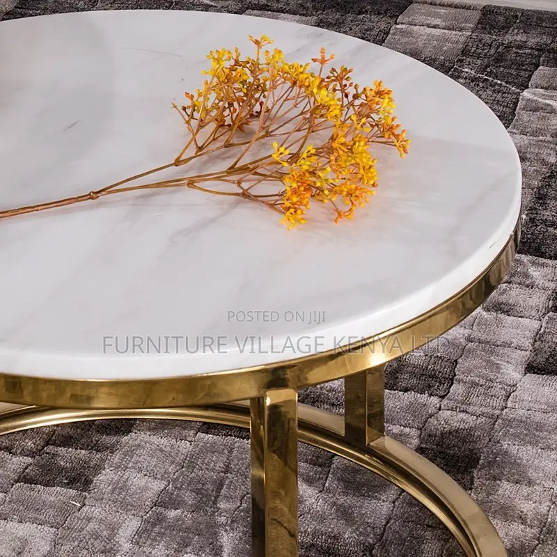 Round Twinned Marble Top Coffee Area Table