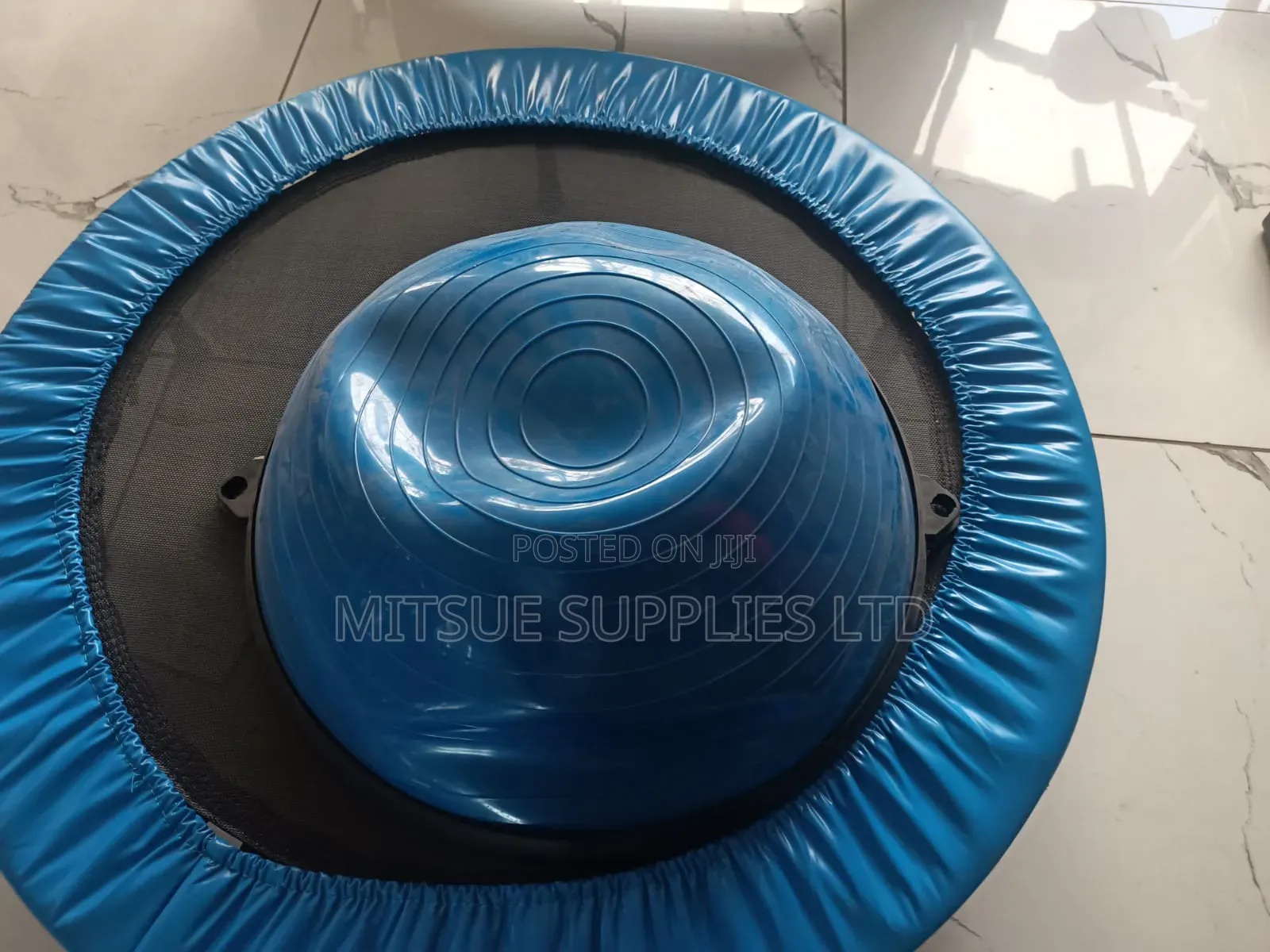 Bosu Ball - Blue Ball With Black Abs Base