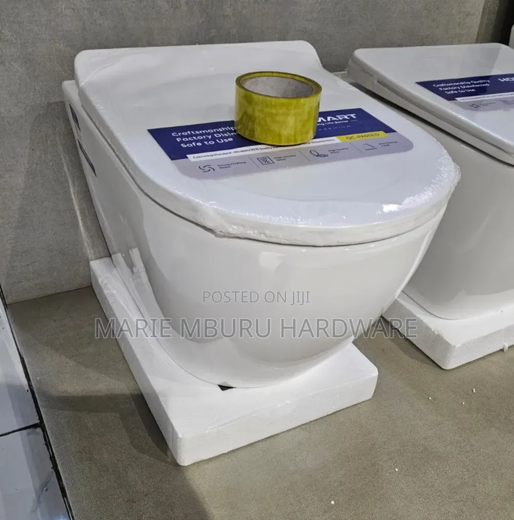 Back to Wall Toilet