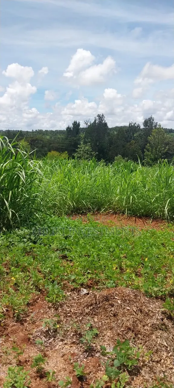 4 Acres on Sale at Makuyu -Mihang'o