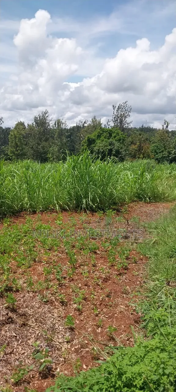 4 Acres on Sale at Makuyu -Mihang'o