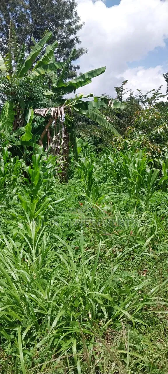 4 Acres on Sale at Makuyu -Mihang'o