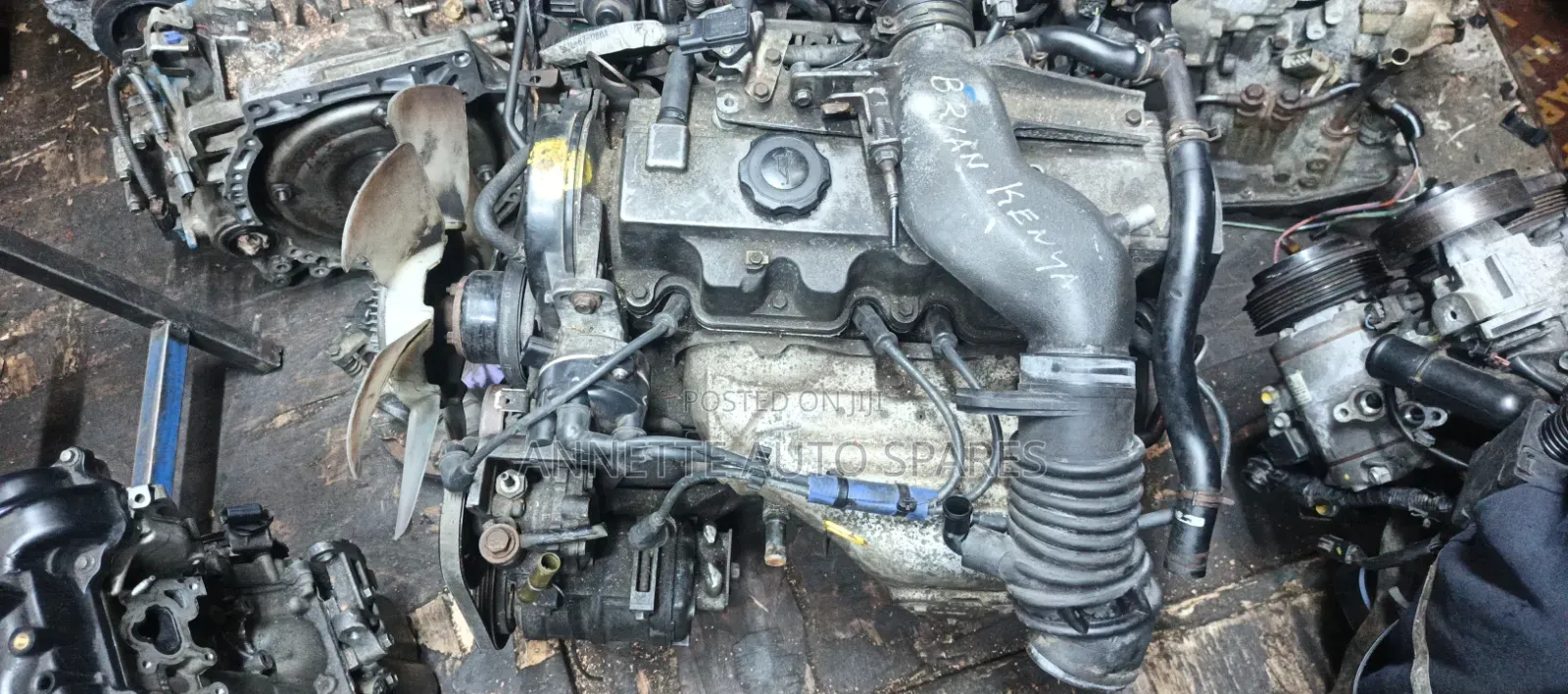 F8 Complete Plug