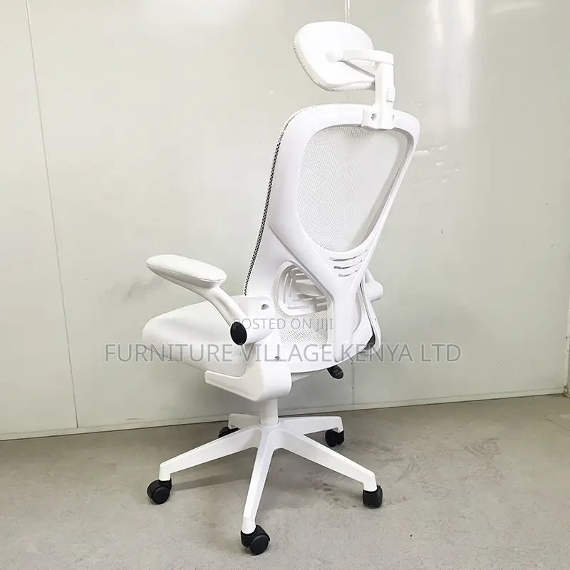 Ergonomic Home Mesh Chair With Adjustable Arms