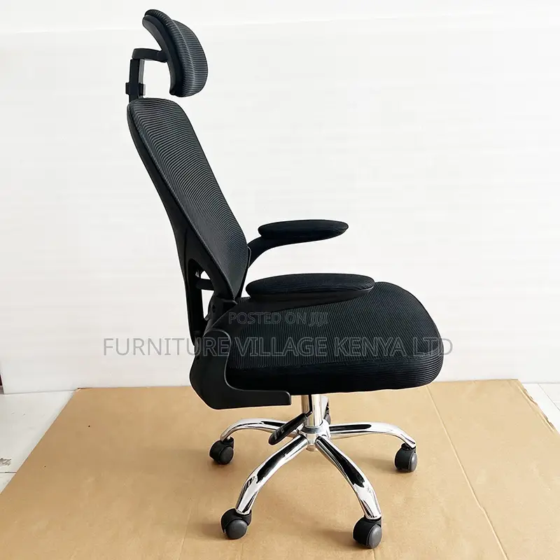 Ergonomic Home Mesh Chair With Adjustable Arms