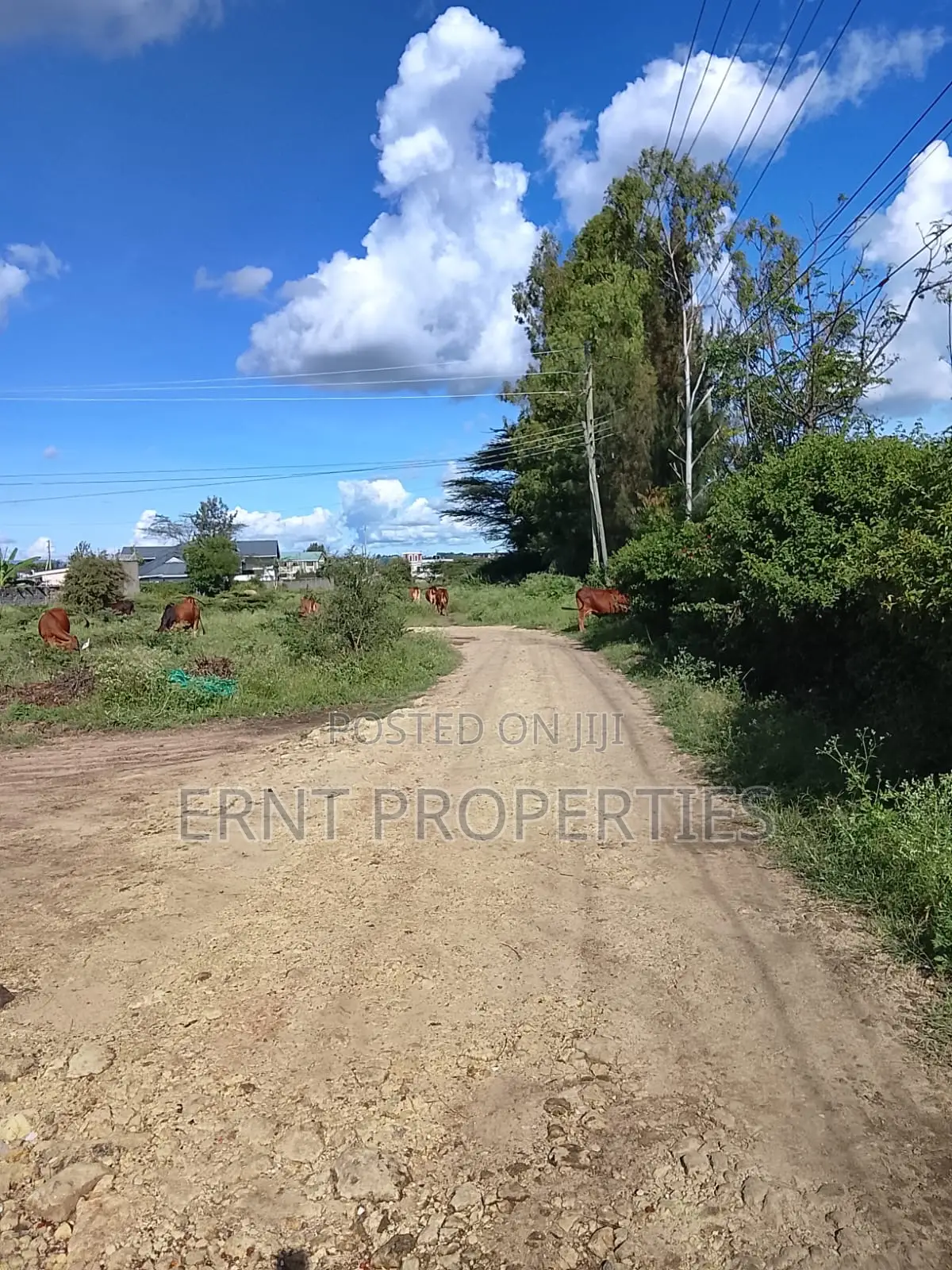 1/8 Acre Plot for Sale in Milimani Creflo, Kitengela