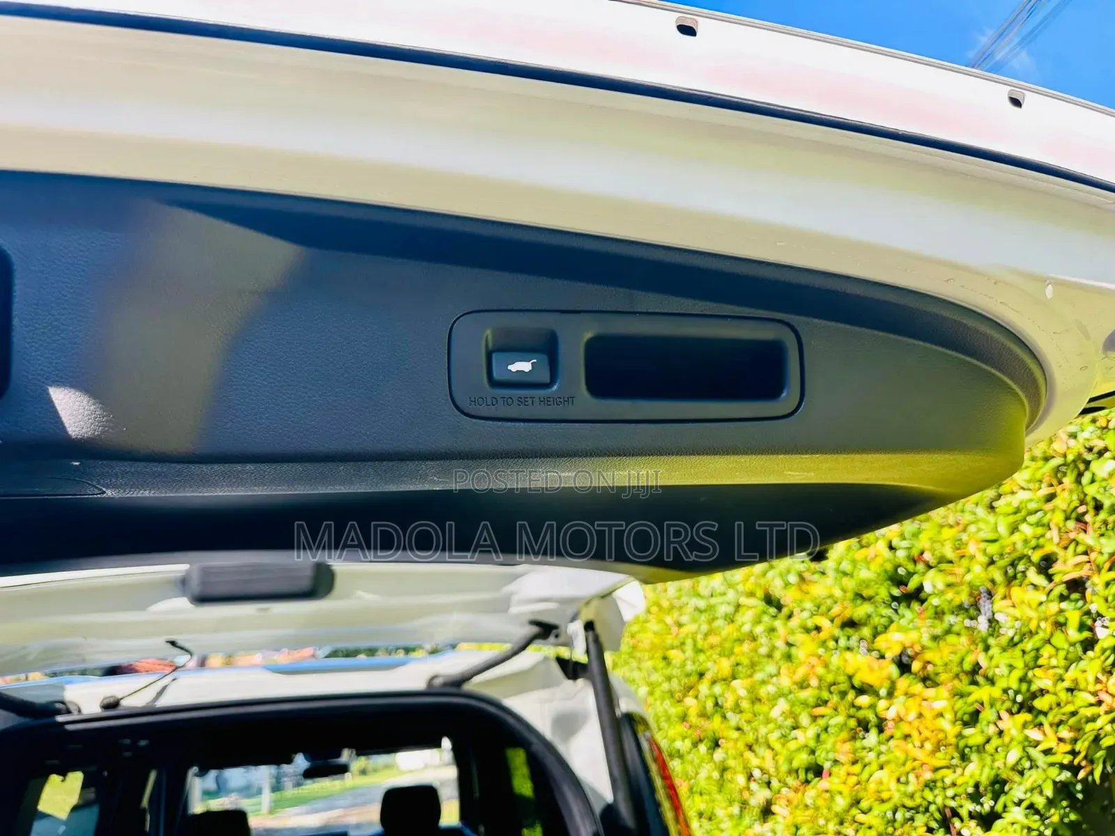 Honda Stepwgn 2019 Pearl