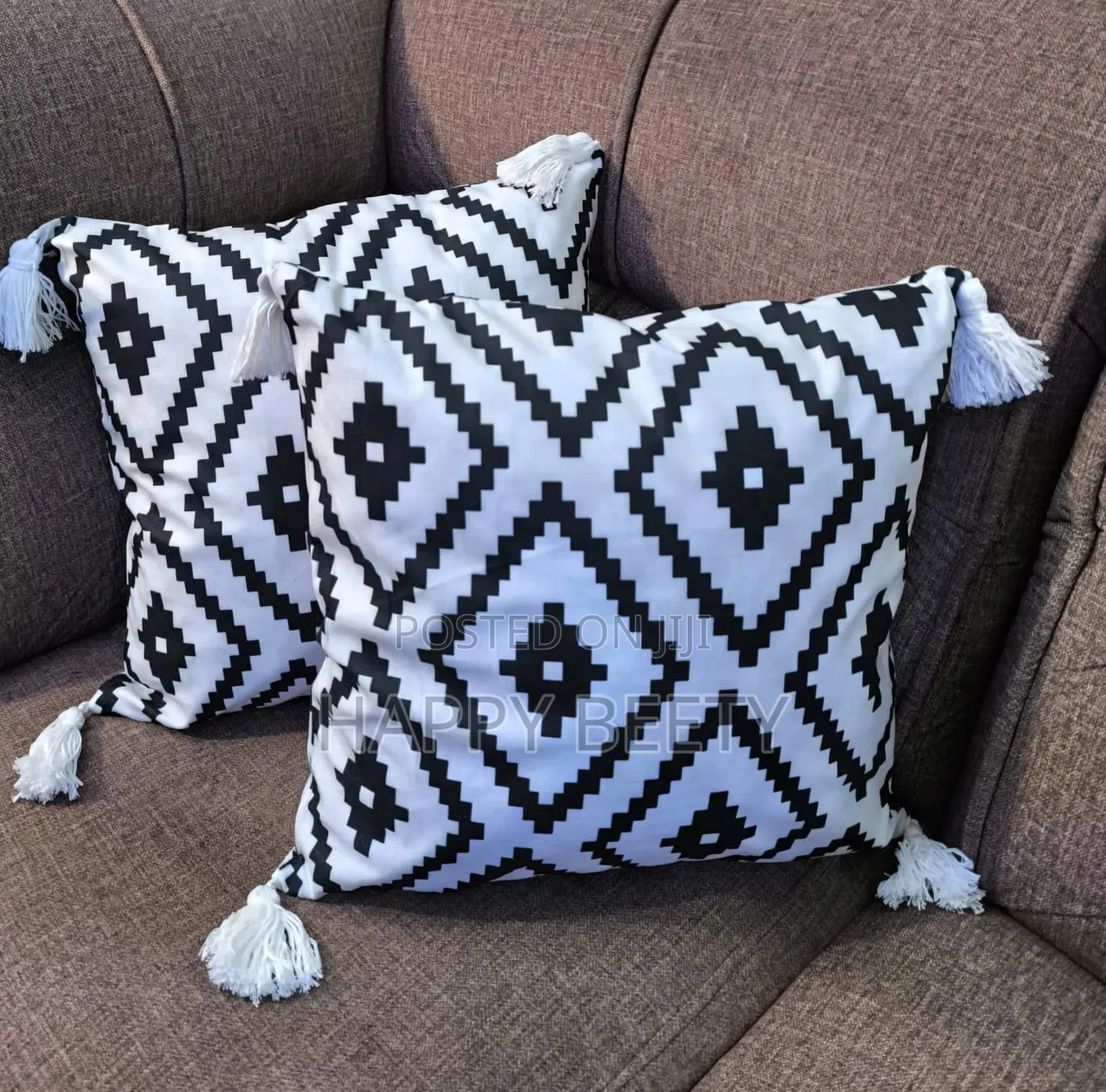 Tassel Designed Throw Pillow Cases