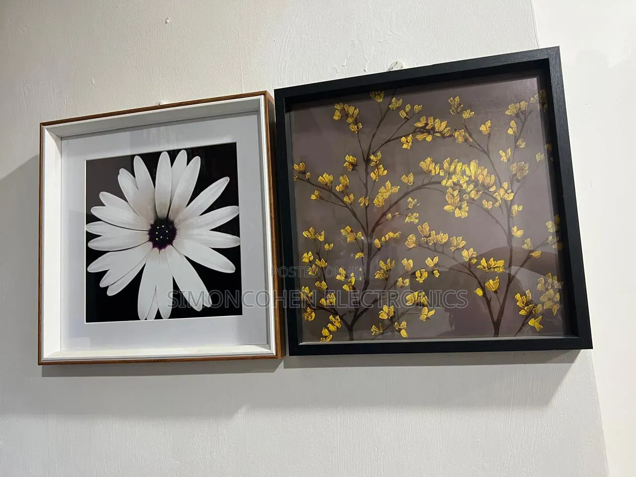 Wall Hanging Frames Plus Portrait