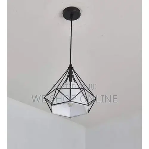 Metal Cage Pendant Light