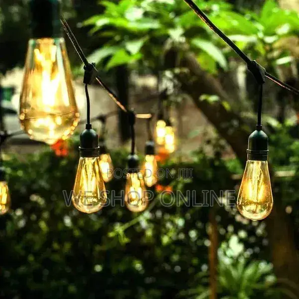10m String Lights With 10 Bulbs