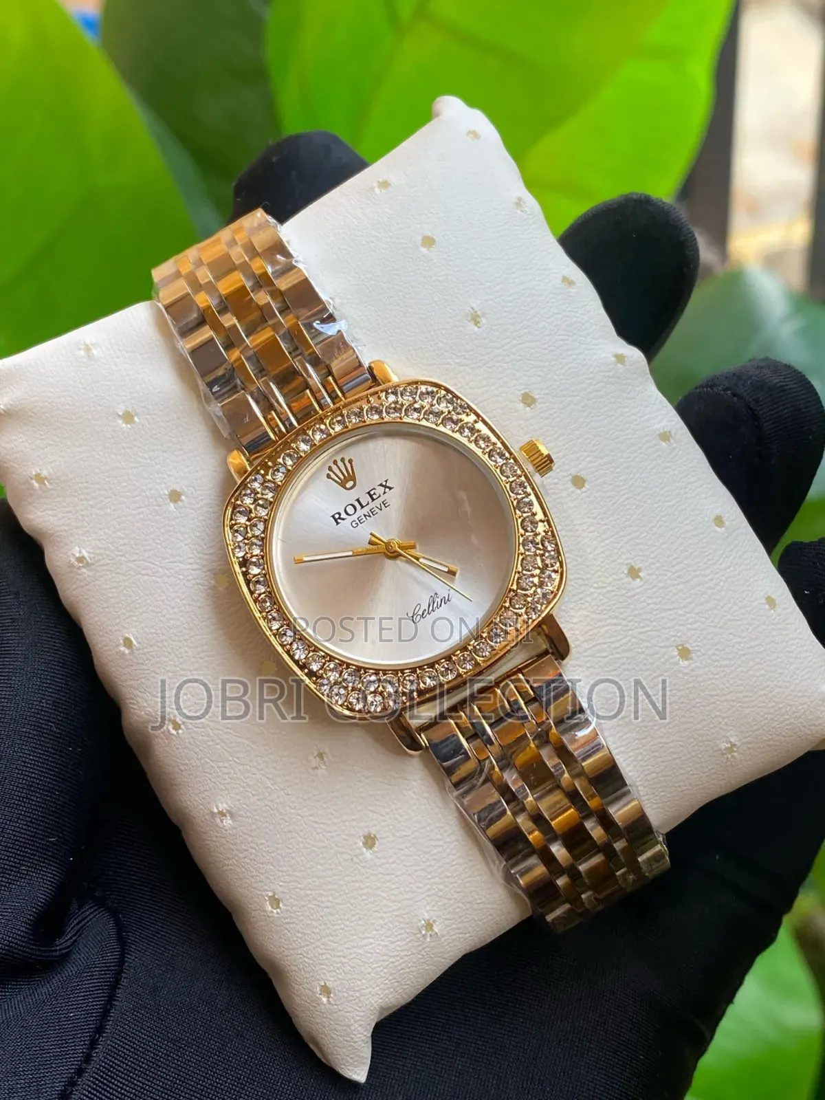 White Face Rolex Geneva Ladies Watches