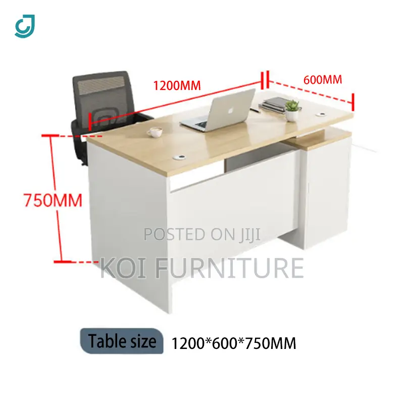 Office Desk; 1.2 Meters Home Office Executive Desk for Working