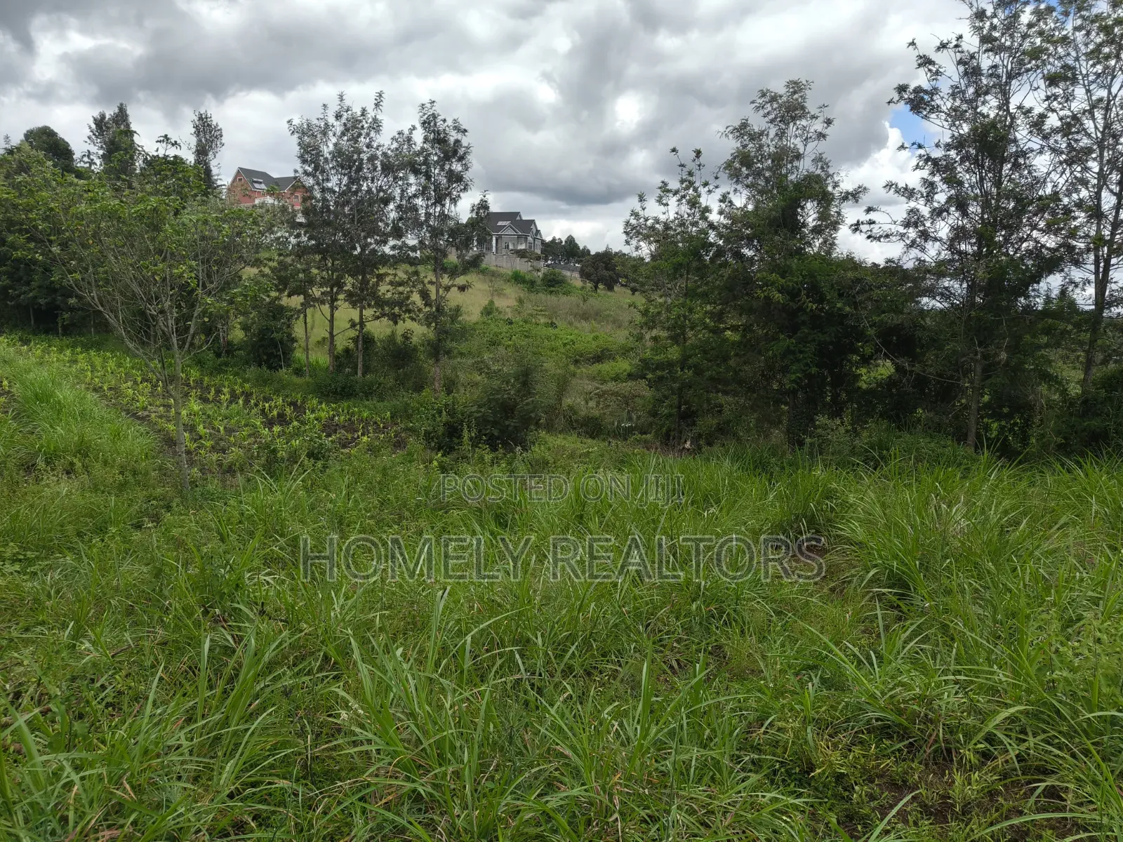 Quarter Acre Plot for Sale in Ongata Rongai,
