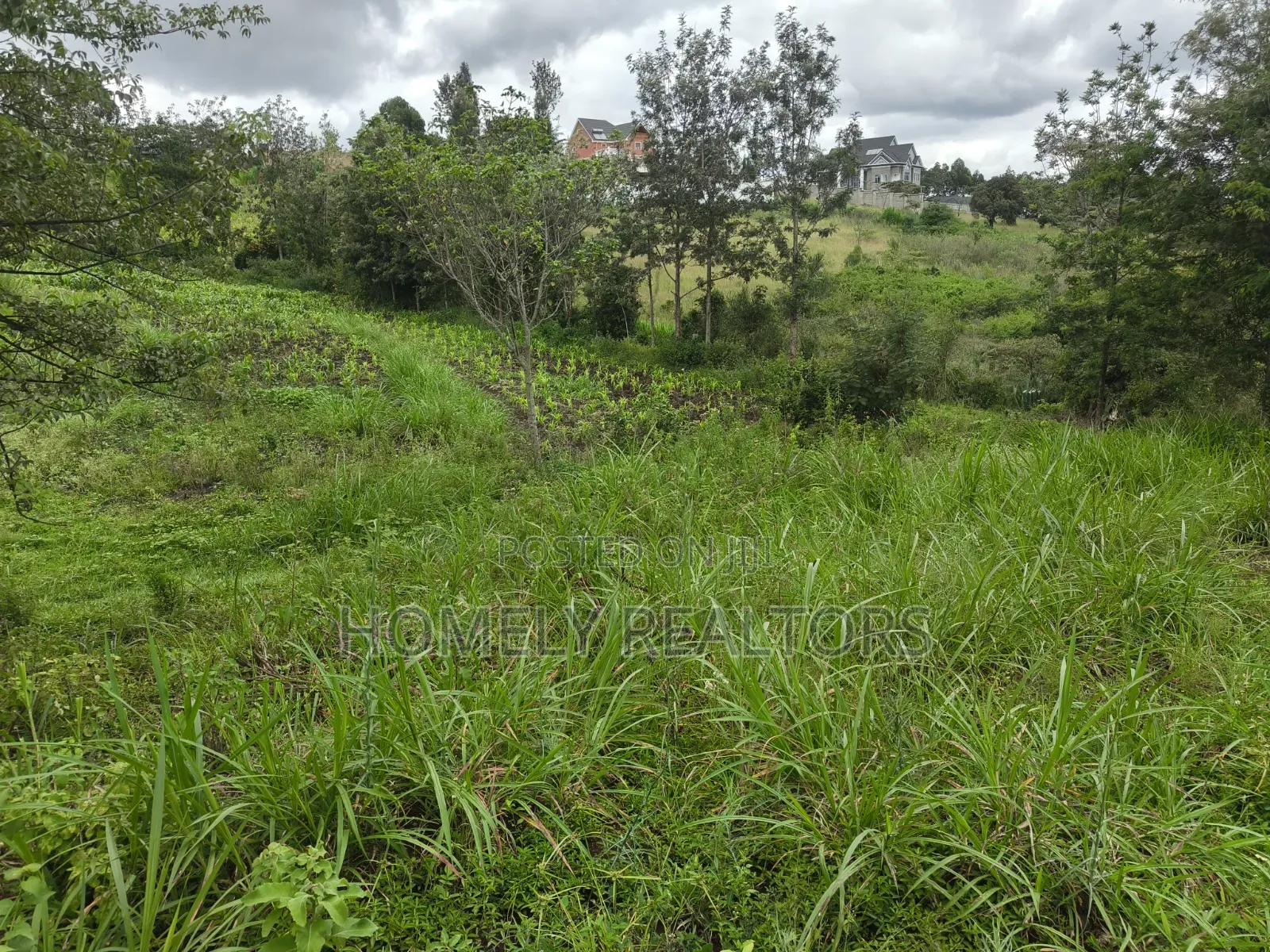 Quarter Acre Plot for Sale in Ongata Rongai,