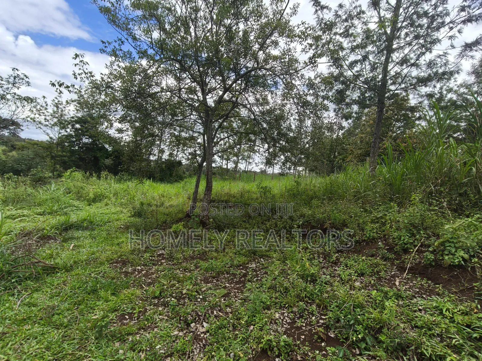 Quarter Acre Plot for Sale in Ongata Rongai,