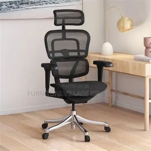 Mesh Ergonomic Home Chair With Footrest