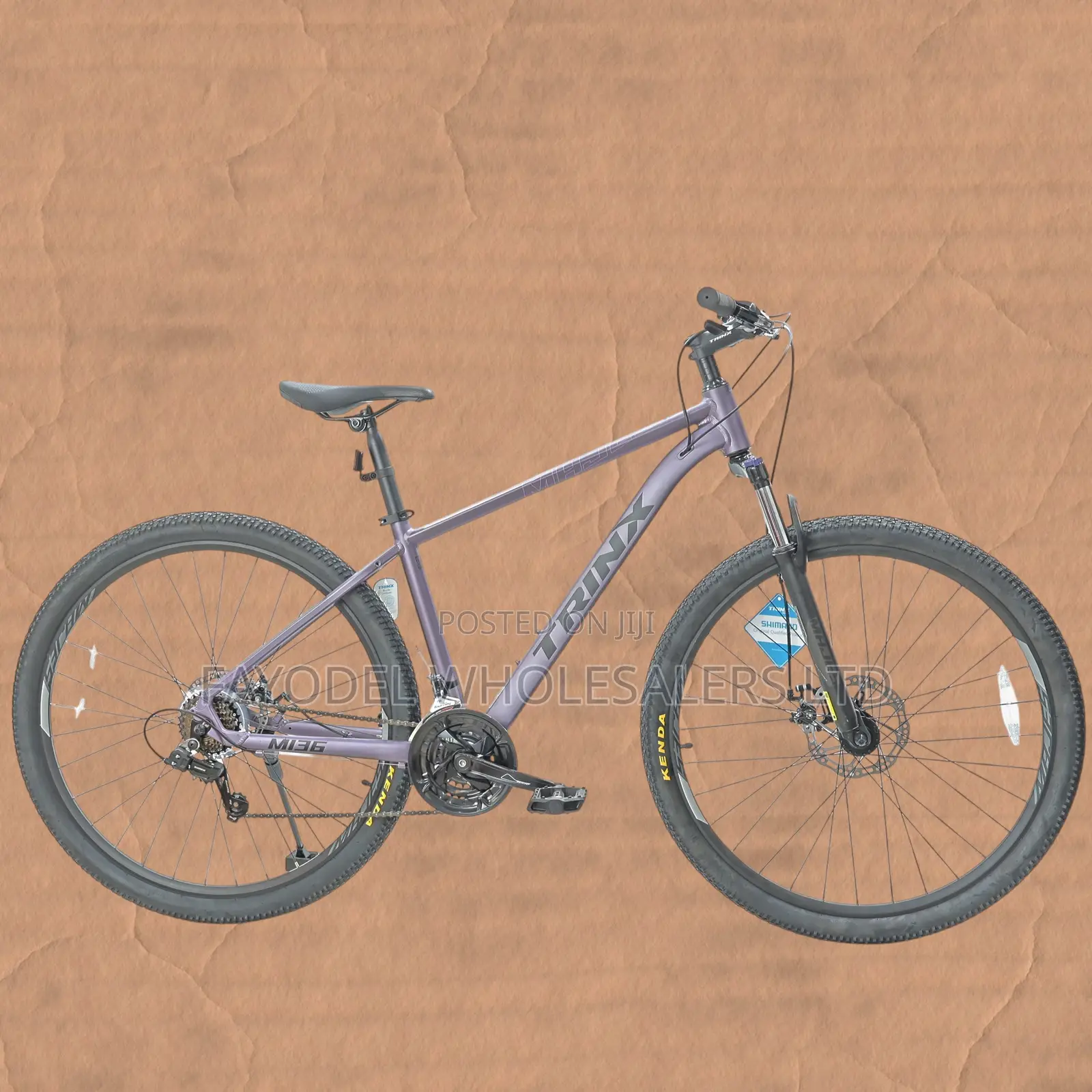 Rinx M136 MTB – Multi-Speed Adventure Bike