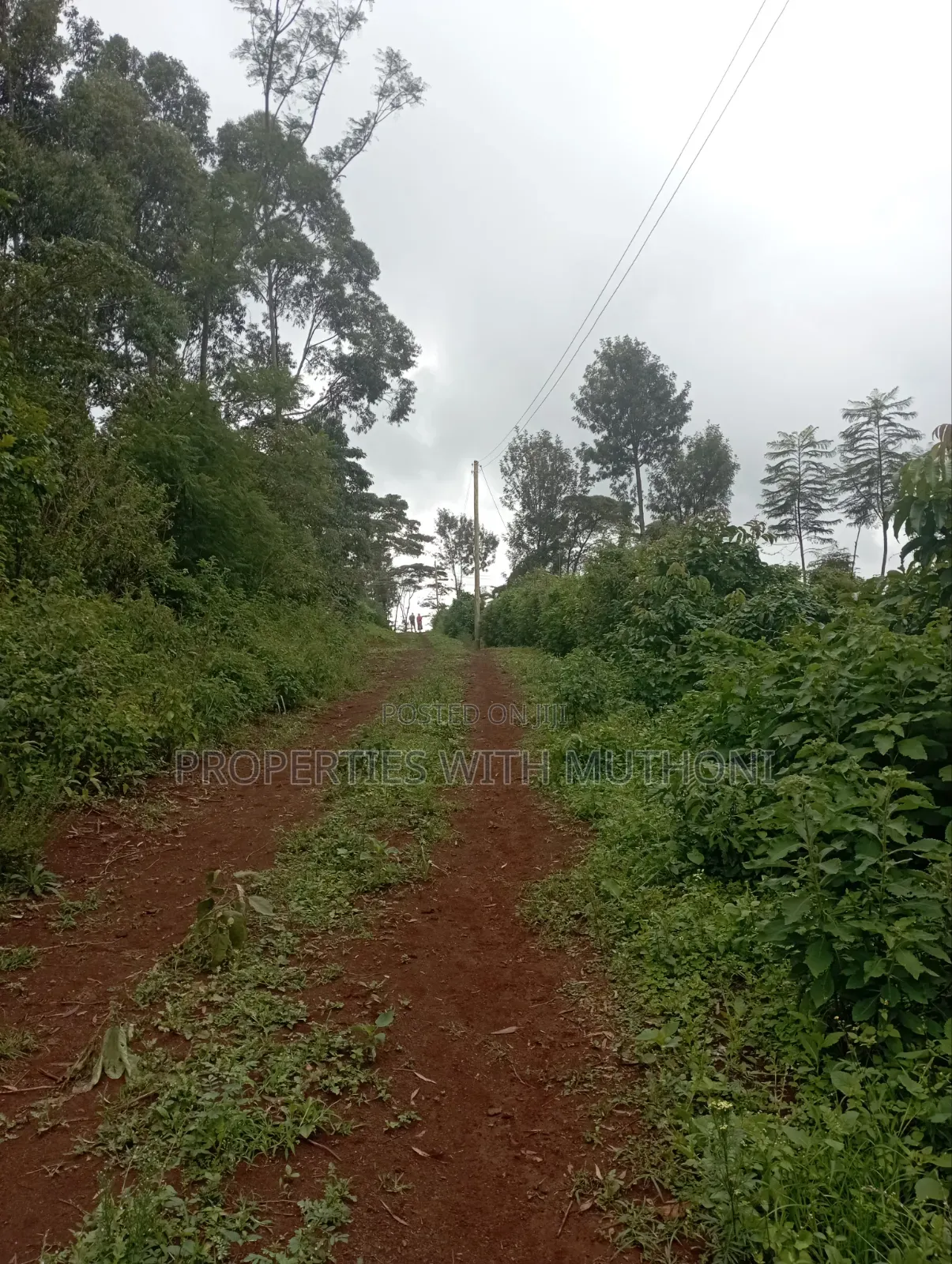 50×100 Plots for Sale in Matasia, Ngong.