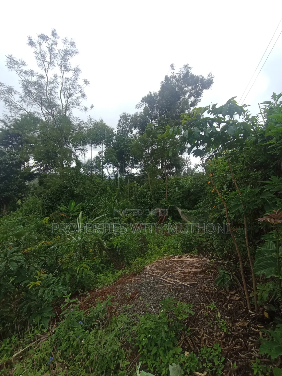 50×100 Plots for Sale in Matasia, Ngong.