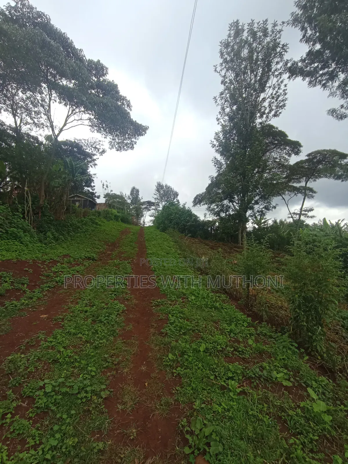 50×100 Plots for Sale in Matasia, Ngong.