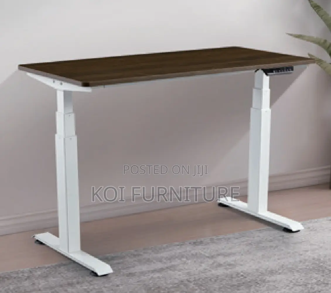 Office Desk; 1600mm Single Motor Height Adjustable Office Desk