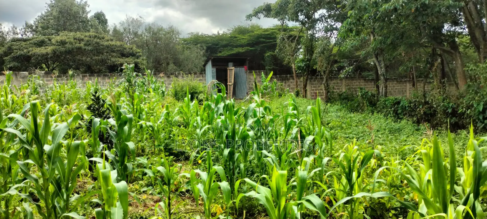 2.5 Aacre Land for Sale