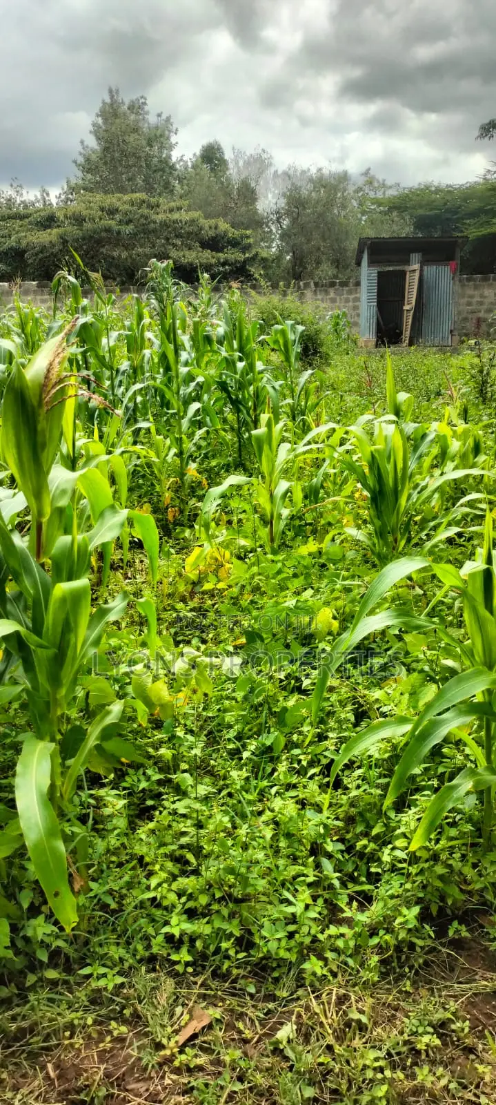2.5 Aacre Land for Sale