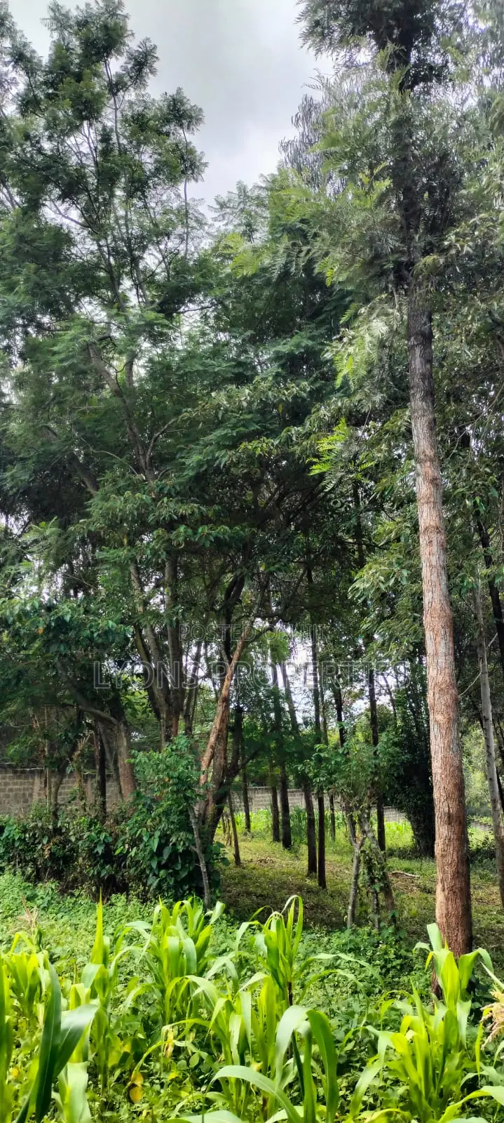 2.5 Aacre Land for Sale