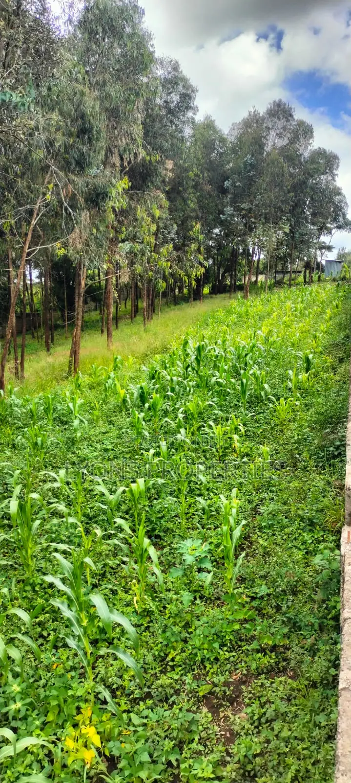 2.5 Aacre Land for Sale