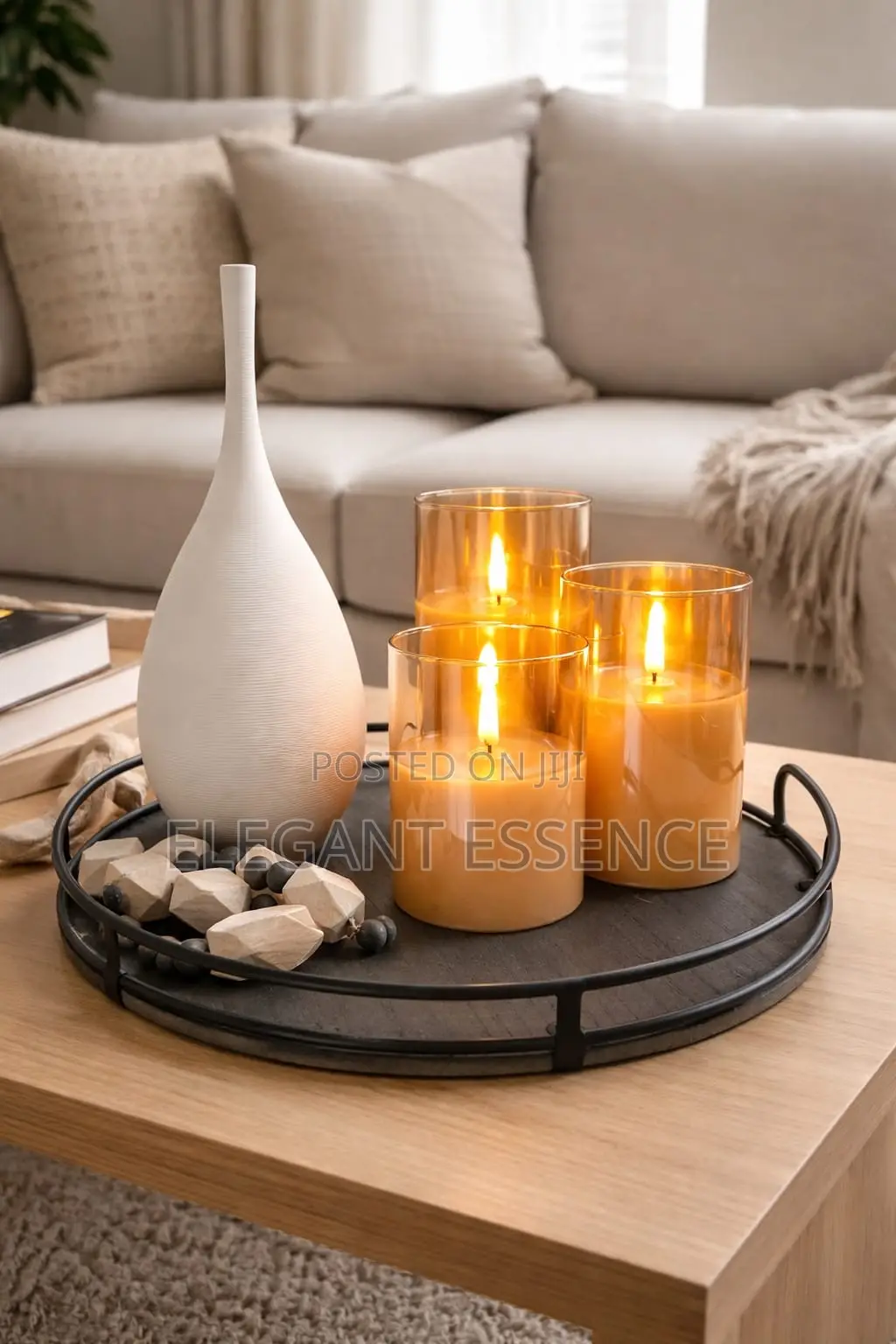 Minimalist in Style Nordic Home Decoration Round Shape Flower Vase