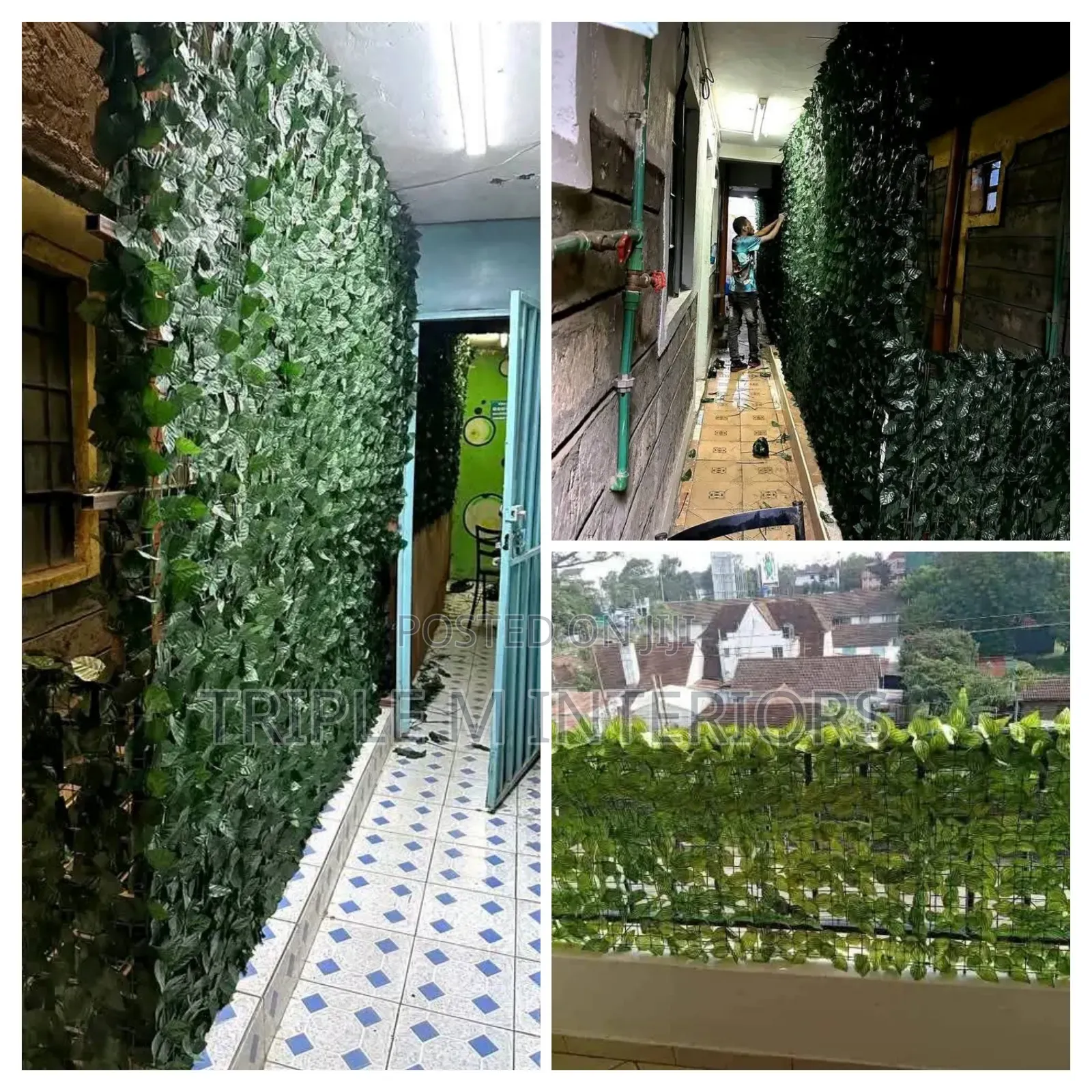 Elegant Shrub Walls for Private Outdoor Comfort
