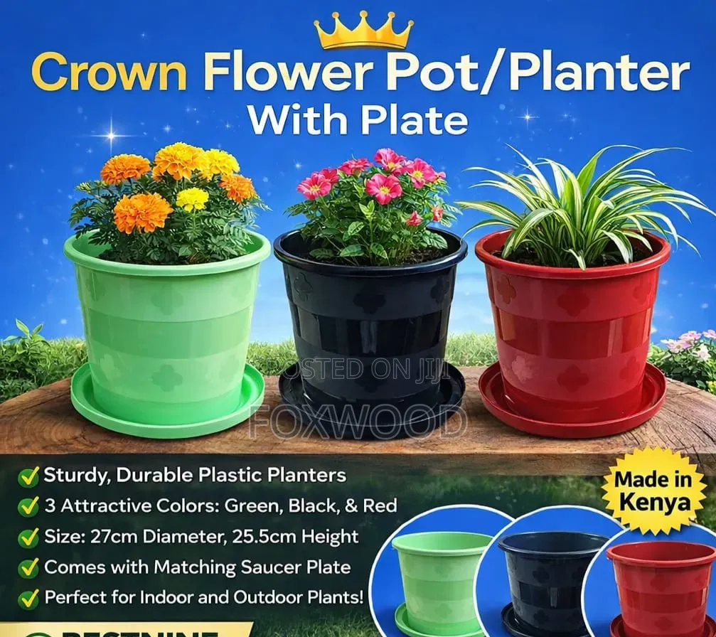 Crown Flower Pot / Planter With Plate