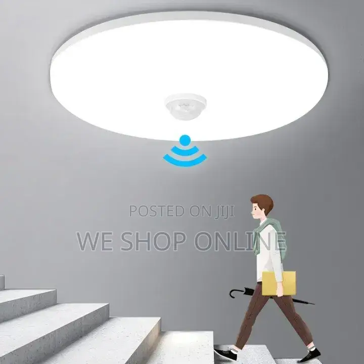 Led Ceiling Light With Motion Sensor