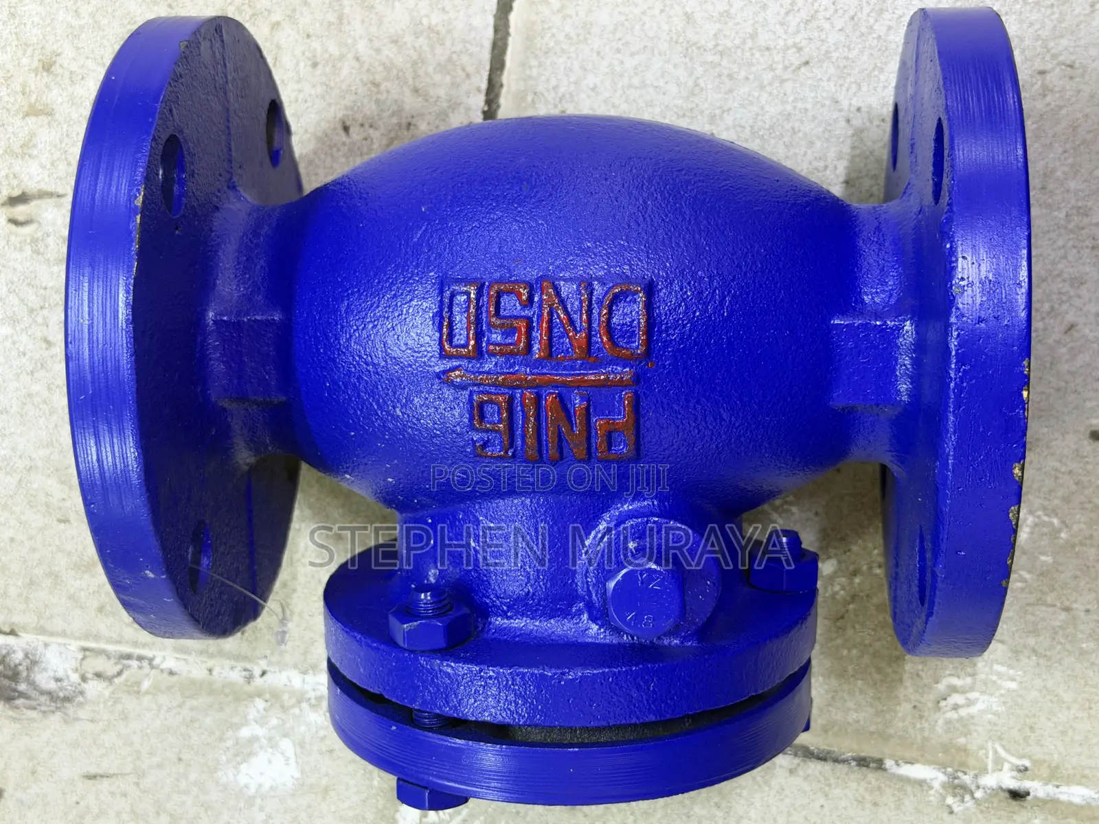 Flanged Non Return Valve 2”
