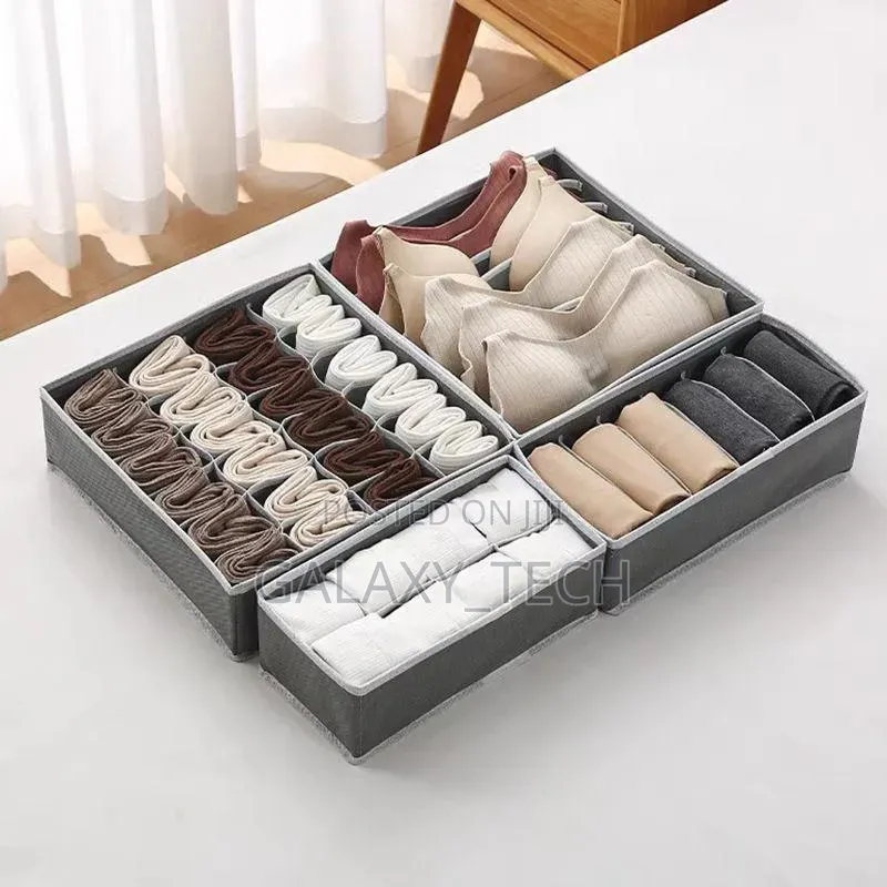 4pcs Set Undergarments Organizers
