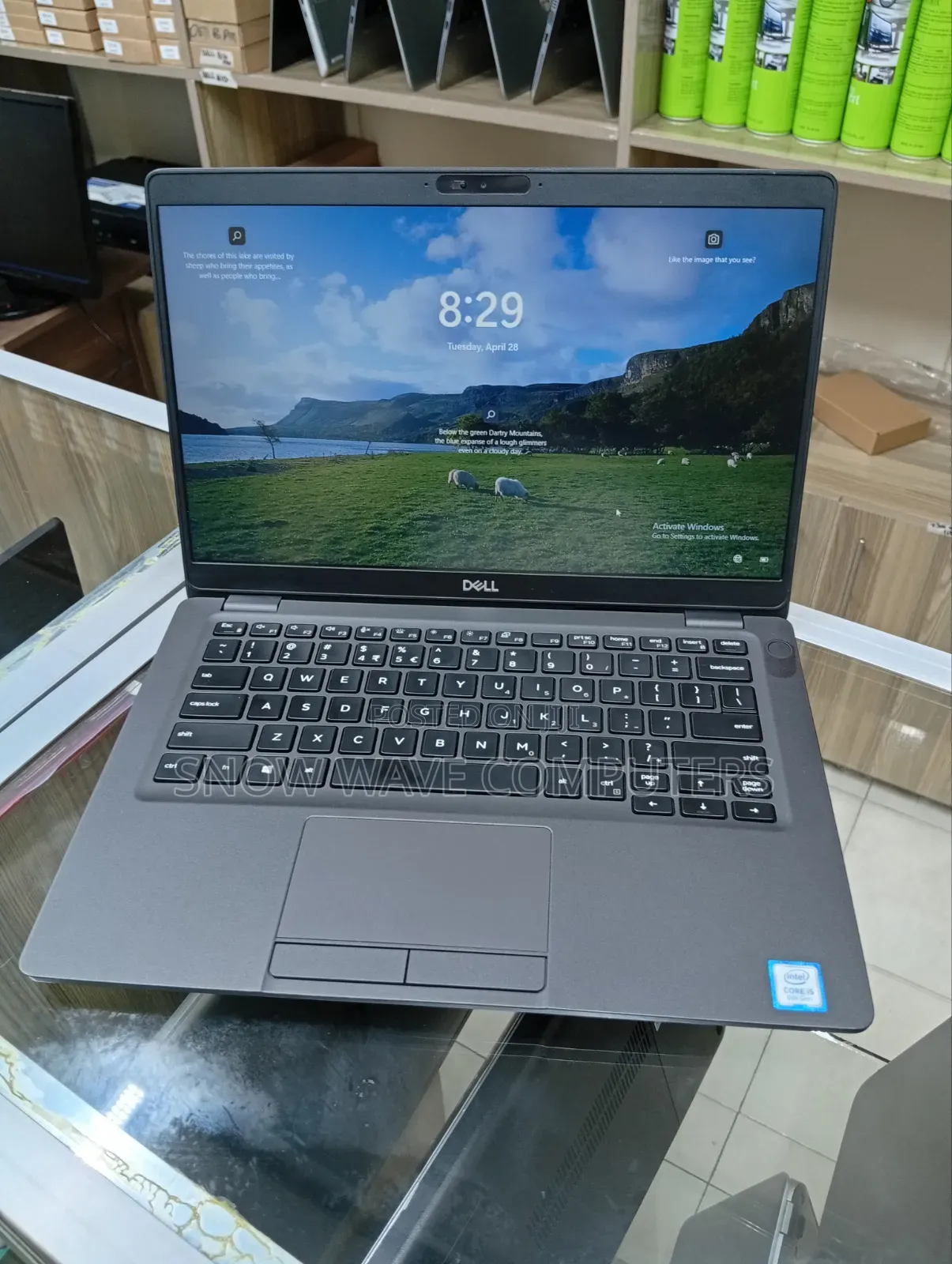 Laptop Dell Latitude 5300 8GB Intel Core i5 SSD 256GB