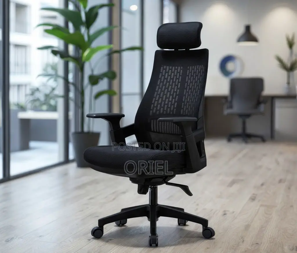 Modern Office Chair : Orthopedic Office Chair