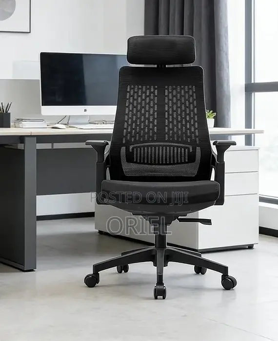 Modern Office Chair : Orthopedic Office Chair