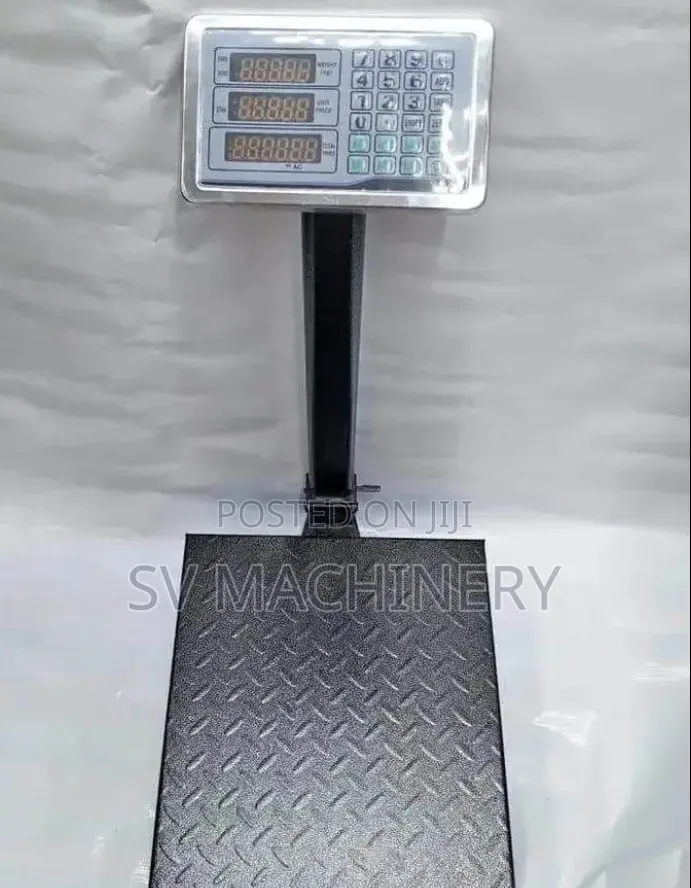 Heavy Duty 300kg Platform Weighing Scale (Big Base)