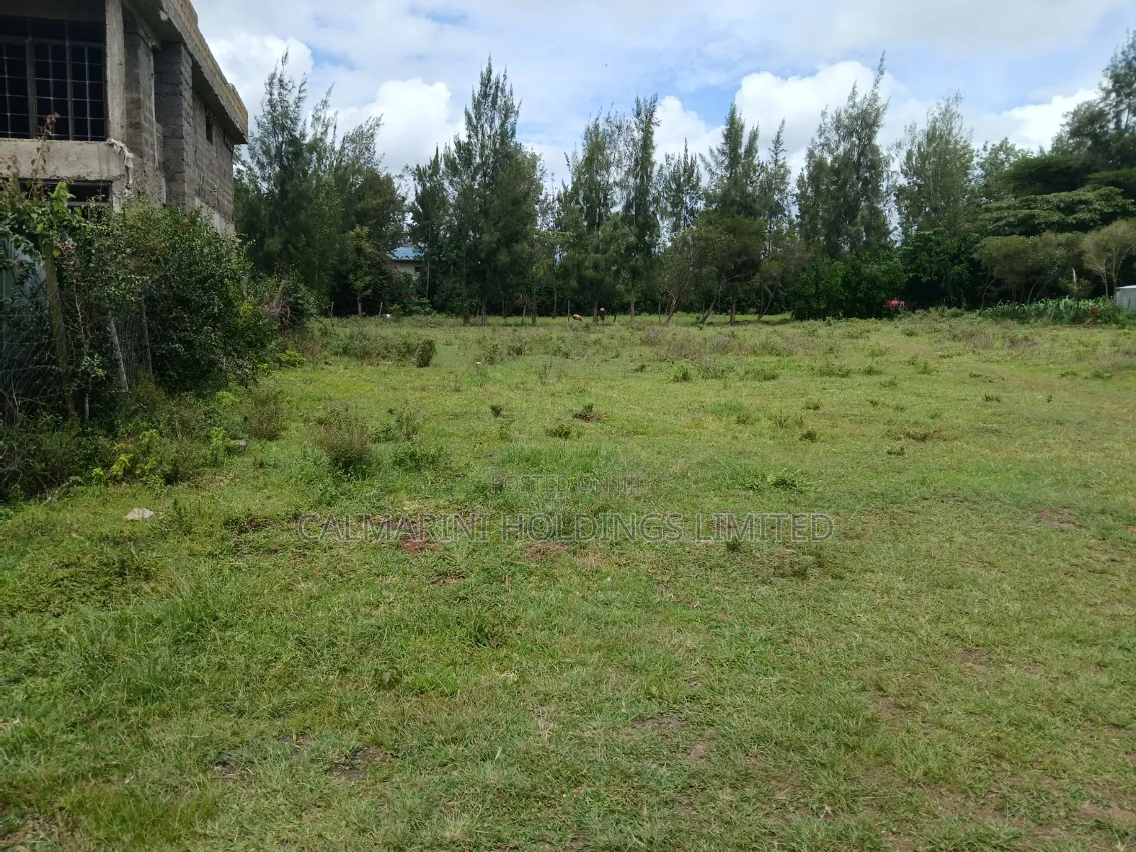Distress Sale! 100 by 100 Prime Plot in Oloolua, Ngong