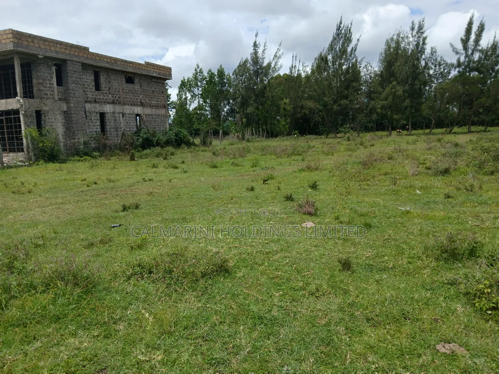 Distress Sale! 100 by 100 Prime Plot in Oloolua, Ngong